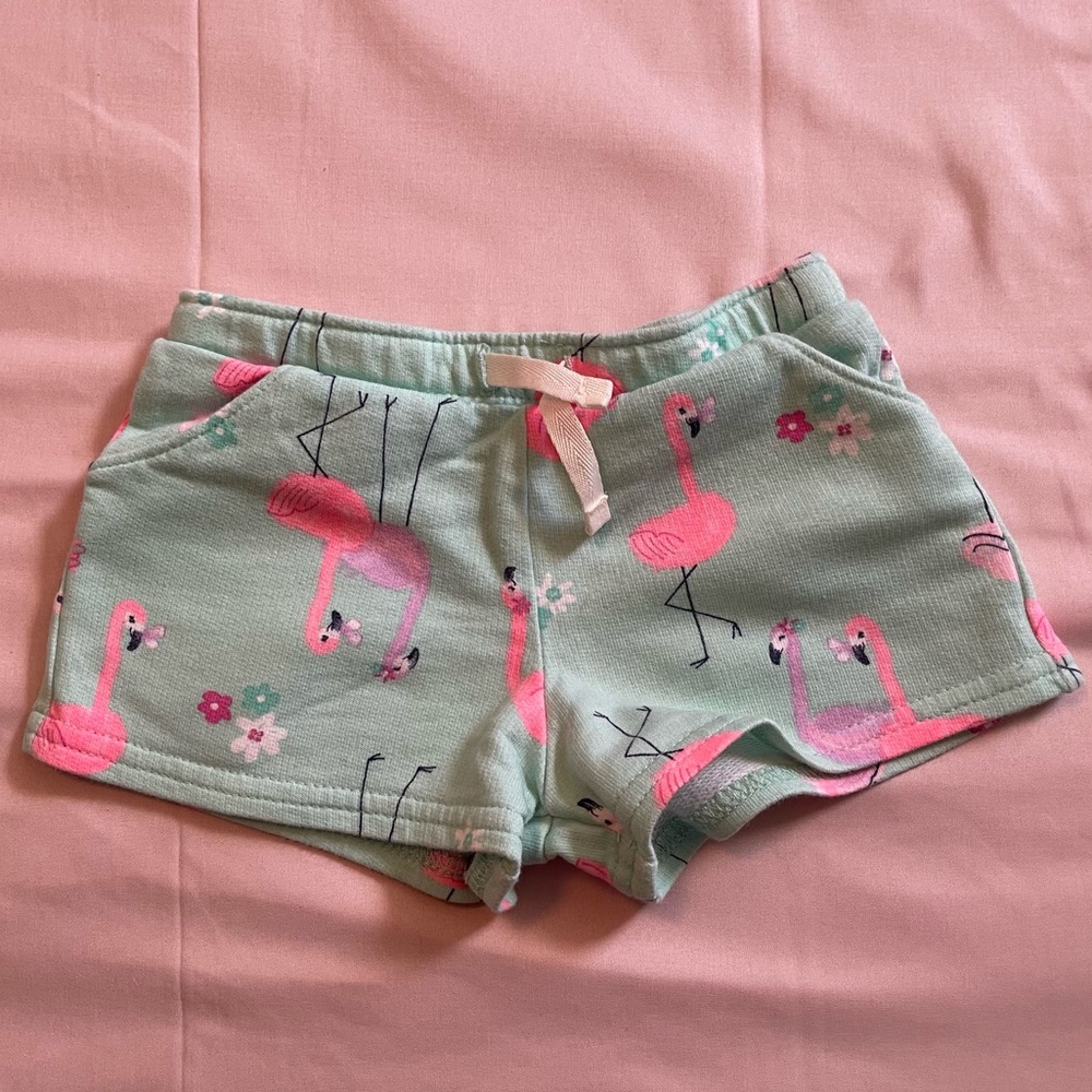 Carter’s shorts (3 piece)
